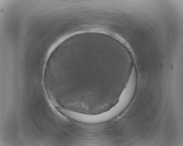 X0000084051520200703022201