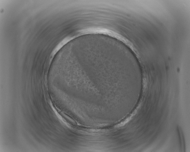 X0000084051521200703022201