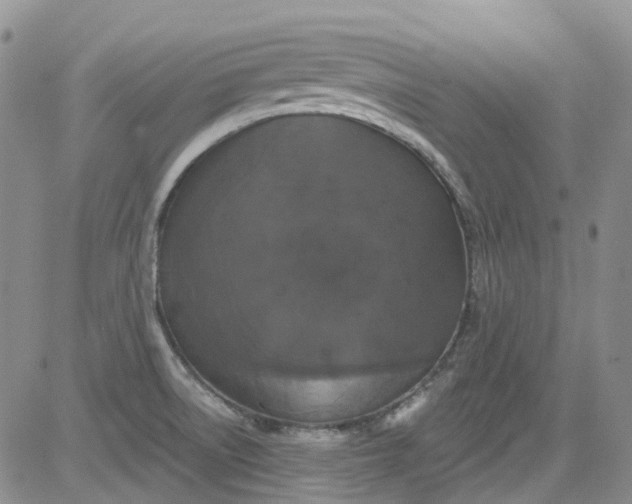 X0000084051522200703022201