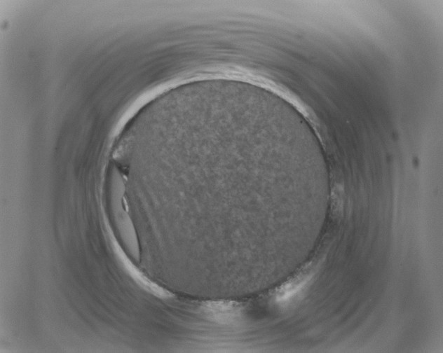 X0000084051523200703022201