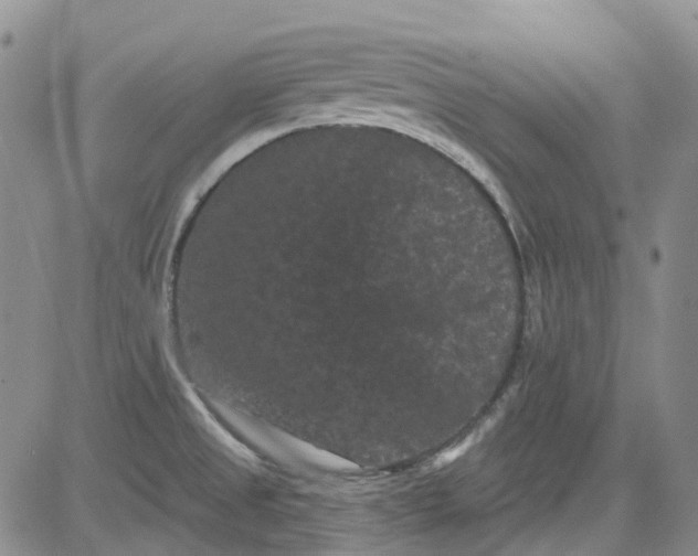 X0000084051525200703022201