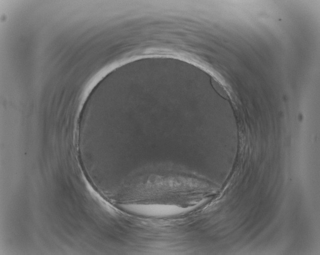 X0000084051527200703022201