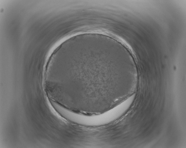 X0000084051528200703022201