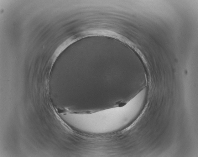 X0000084051529200703022201