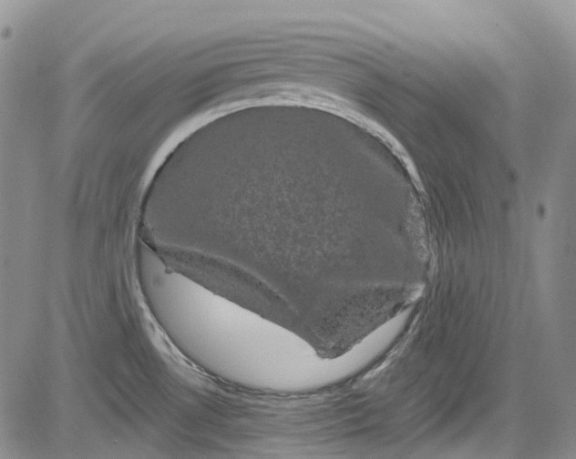 X0000084051530200703022202