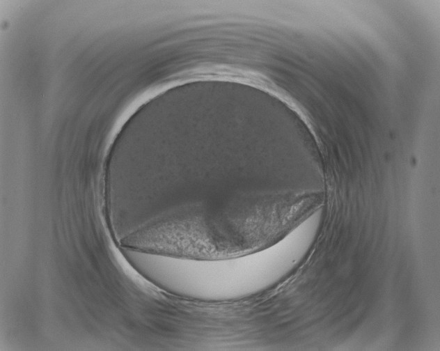 X0000084051531200703022202