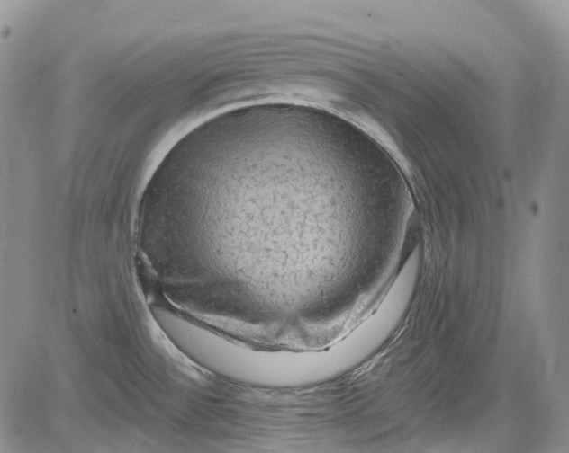 X0000084051532200703022202