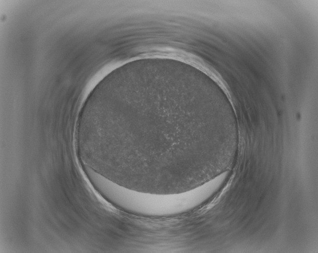 X0000084051533200703022202