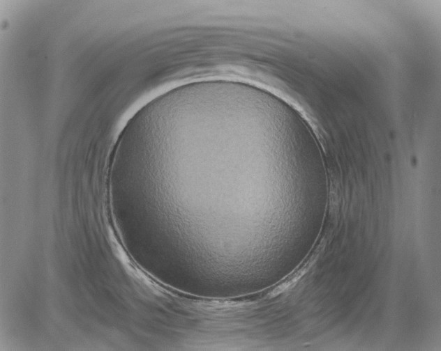 X0000084051534200703022202