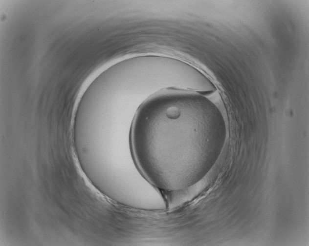 X0000084051536200703022202