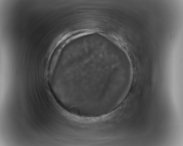 X0000084050002200703092102