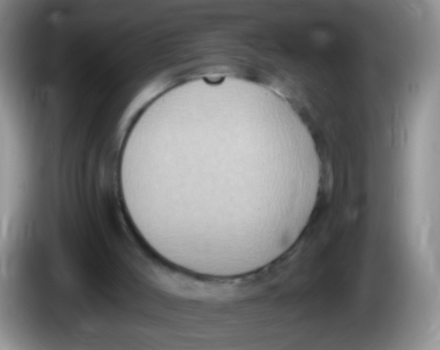 X0000084050004200703092102