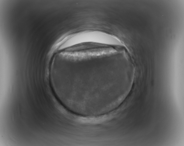 X0000084050005200703092102