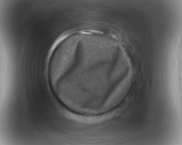 X0000084050006200703092102