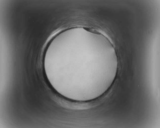 X0000084050008200703092102