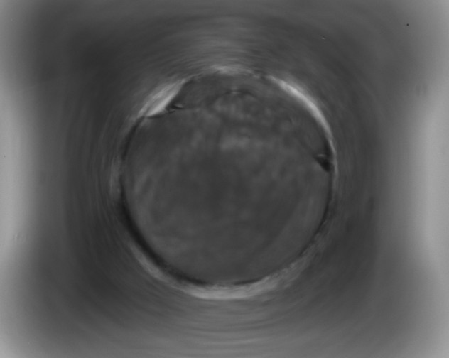 X0000084050009200703092102