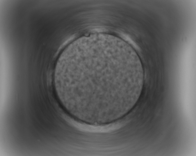 X0000084050010200703092102