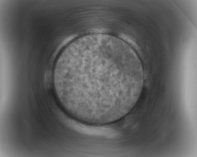 X0000084050012200703092102