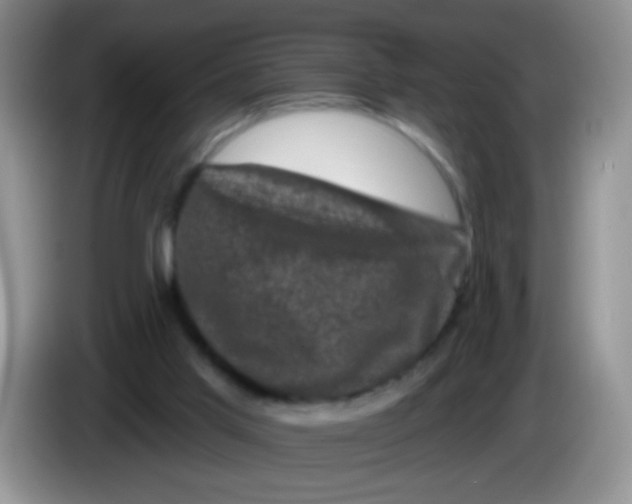 X0000084050013200703092102