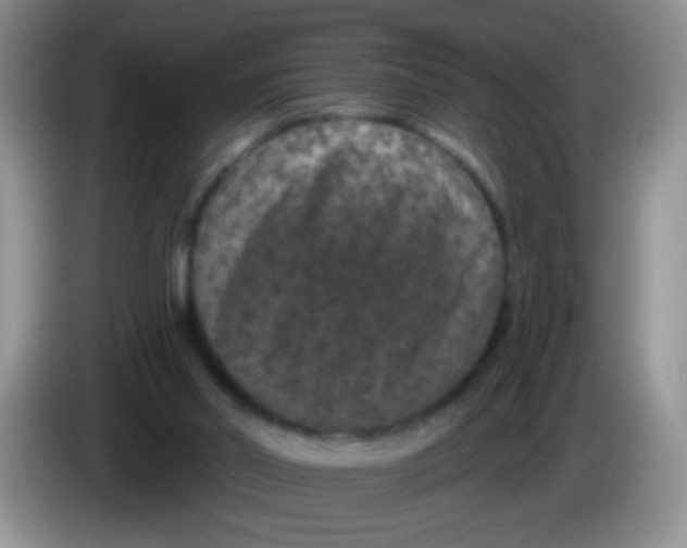 X0000084050014200703092102