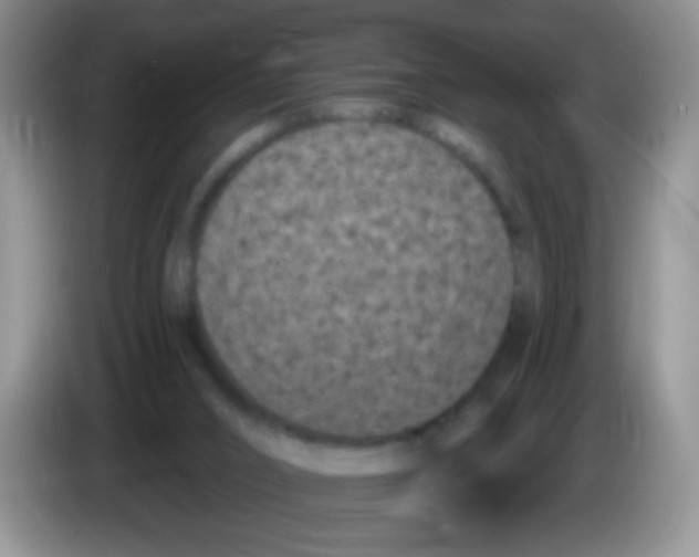 X0000084050016200703092102