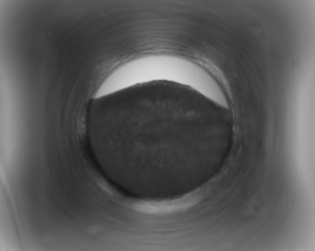 X0000084050017200703092102