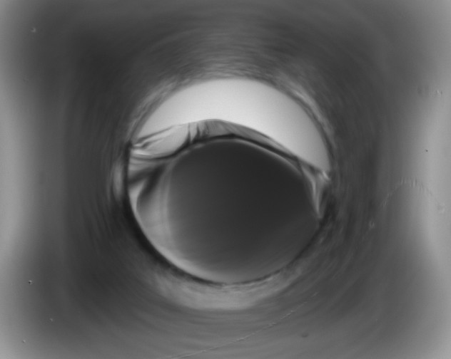 X0000084050019200703092102