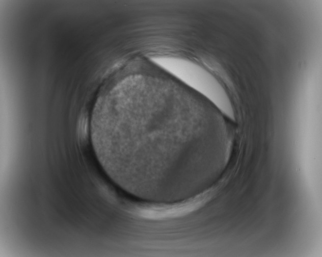 X0000084050021200703092102