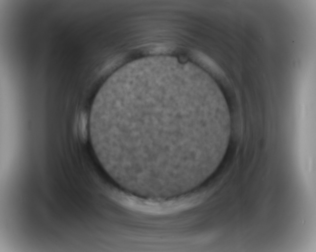 X0000084050022200703092102