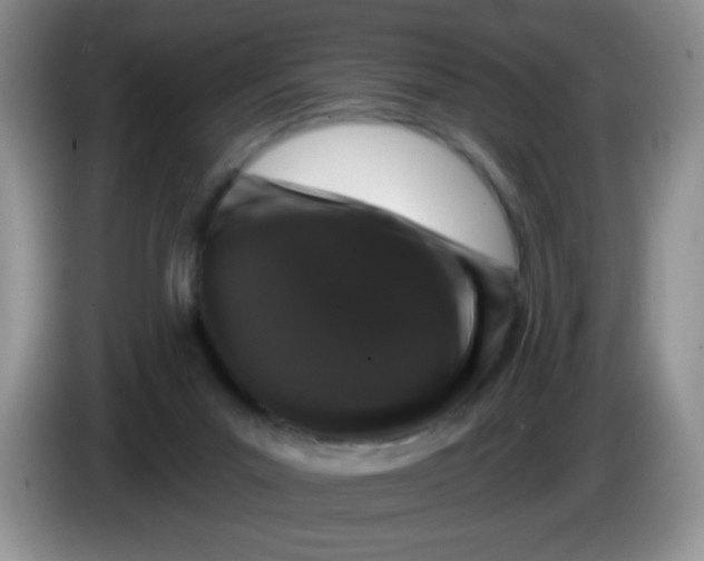 X0000084050023200703092102