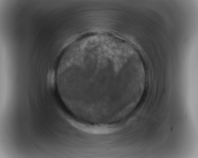 X0000084050024200703092102