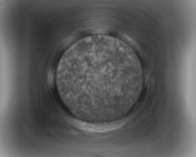 X0000084050026200703092102