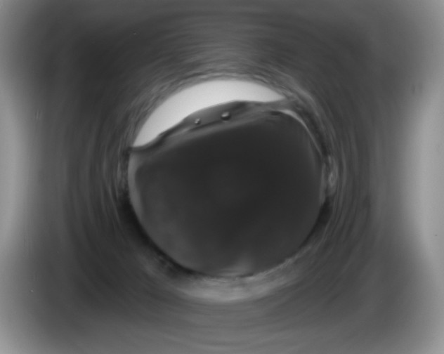 X0000084050029200703092101