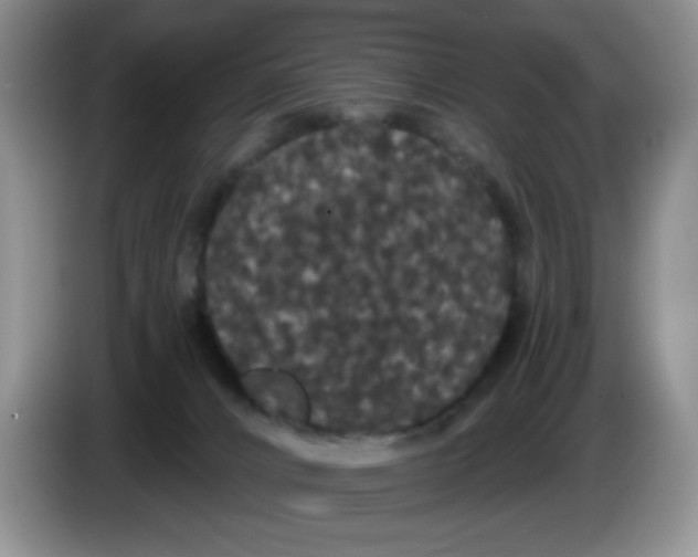 X0000084050032200703092101