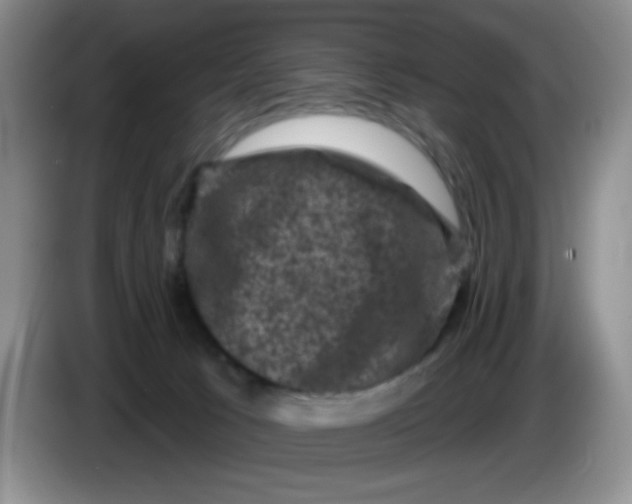 X0000084050033200703092101