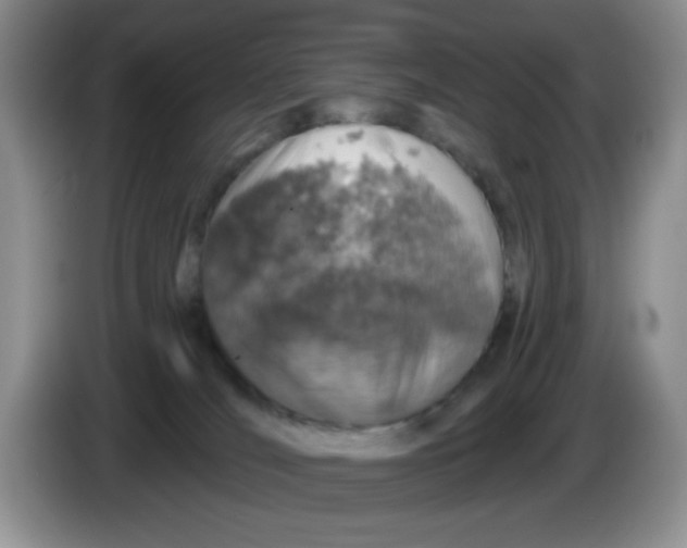 X0000084050036200703092101