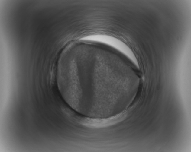 X0000084050037200703092101