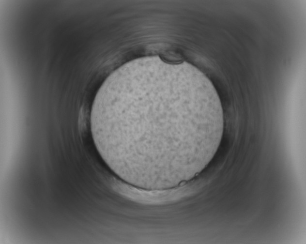 X0000084050038200703092101