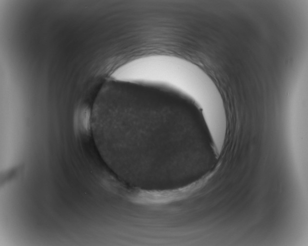 X0000084050041200703092101