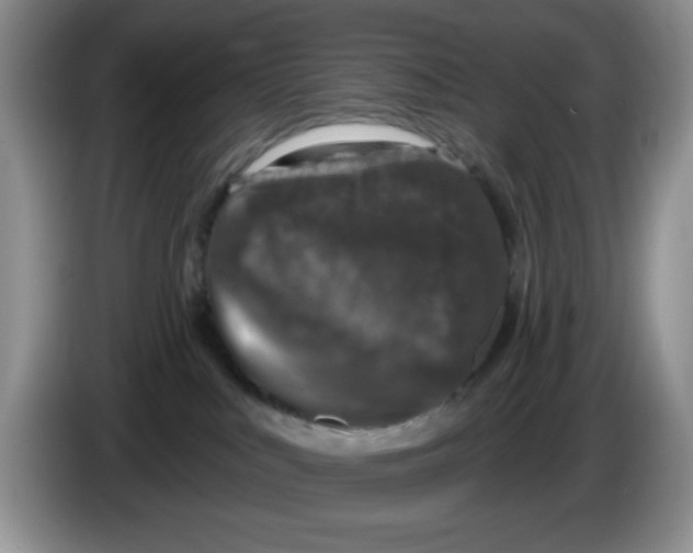 X0000084050043200703092101