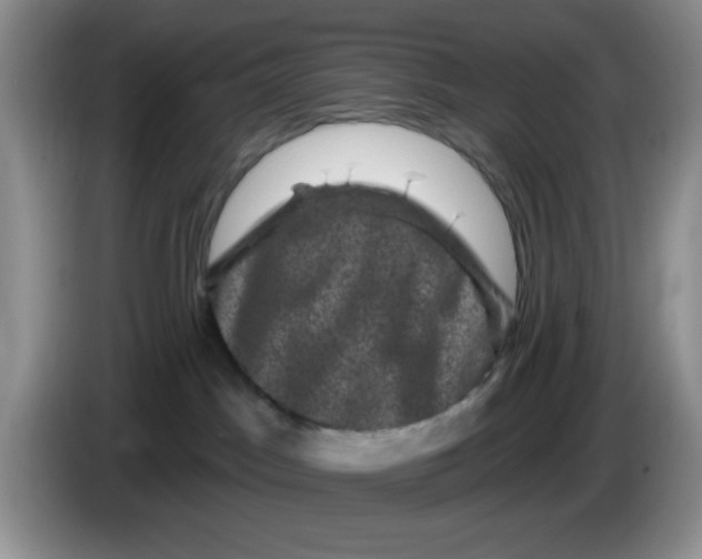 X0000084050045200703092101