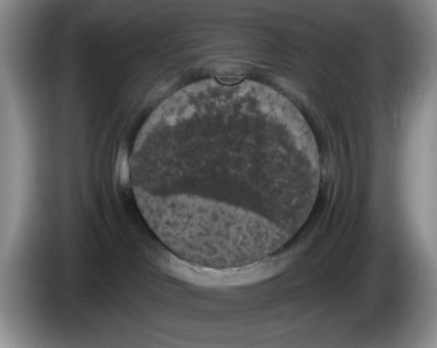 X0000084050046200703092101