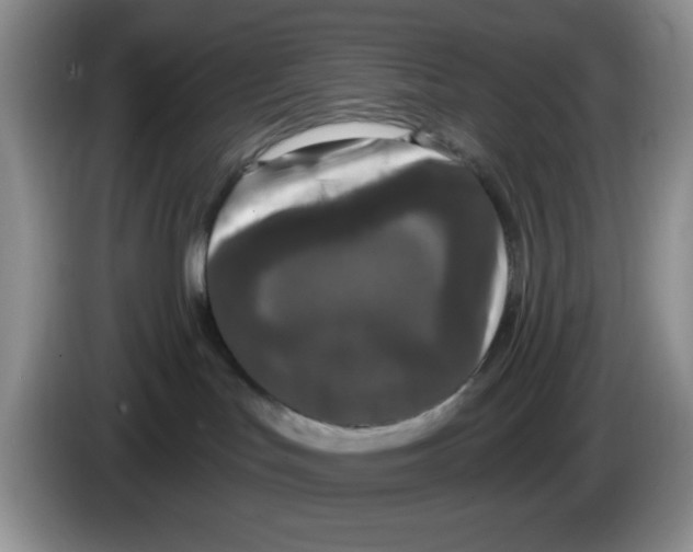 X0000084050047200703092101