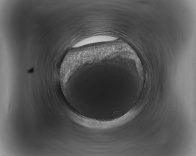 X0000084050048200703092101