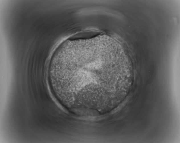 X0000084050049200703092101