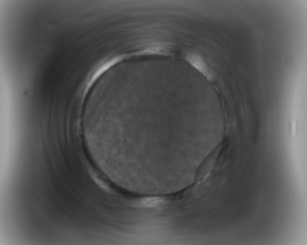 X0000084050050200703092101