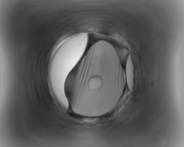 X0000084050051200703092101