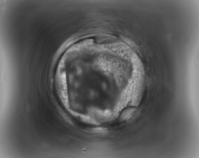 X0000084050053200703092101