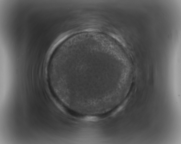 X0000084050055200703092101