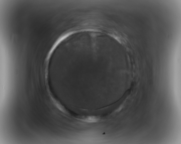 X0000084050056200703092101